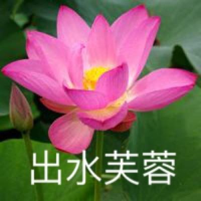 创想三国uc版下载