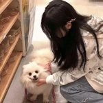 租借女友女主角全明星手机版下载